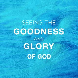Seeing the Goodness and Glory of God
