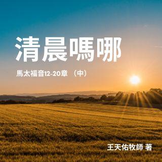 清晨嗎哪——馬太福音（中）