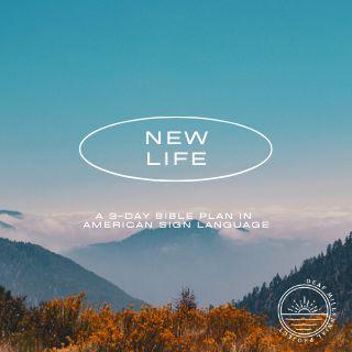 New Life