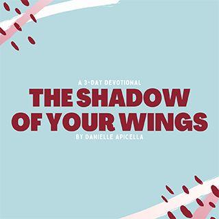 The Shadow of Your Wings