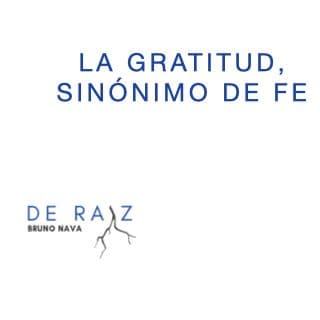 La Gratitud, Sinónimo De Fe
