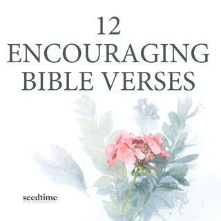 12 Encouraging Bible Verses
