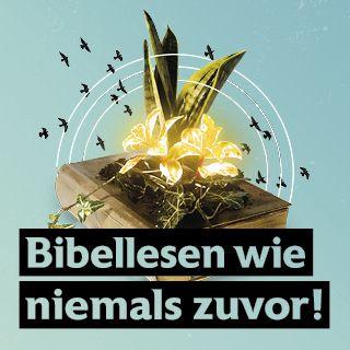 Bibellesen wie niemals zuvor