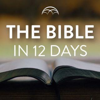 The Bible in 12 Days : Discover God’s Story of Redemption