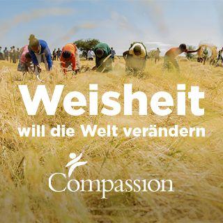 Weisheit will die Welt verändern