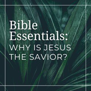 Why Is Jesus the Savior?