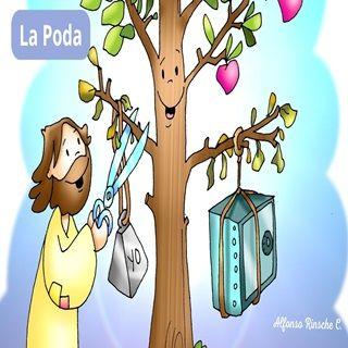 La poda