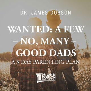 Wanted: A Few – No, Many – Good Dads: A 3-Day Parenting Plan