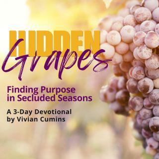 Hidden Grapes: Finding Purpose in Secluded Seasons