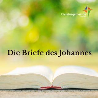 Die Briefe des Johannes
