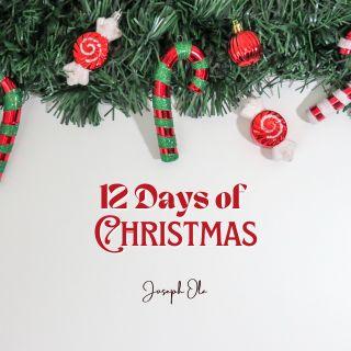 12 Days of Christmas