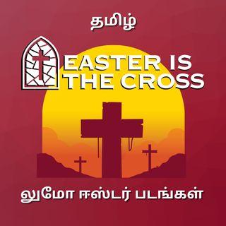 ஈஸ்டர் என்பது சிலுவை - 8 நாள் வீடியோ திட்டம்