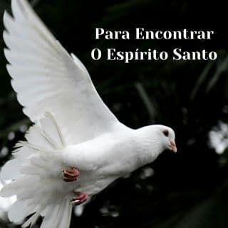 5 Dias Para Encontrar O Espírito Santo E Não Perder Nunca Mais