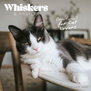 Whiskers & Prayers: Devotionals for Cat Lovers