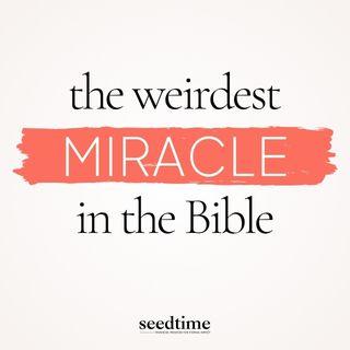 The Bible's Weirdest Miracle (And Why It Changes Everything)