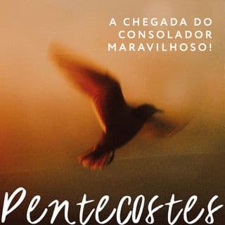 A Chegada Do Consolador Maravilhoso: Devocionais semanais para o Pentecostes