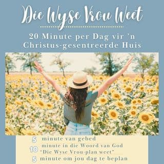 Die Wyse Vrou Weet: 20 Minute per Dag vir ’n Christus‑gesentreerde Huis