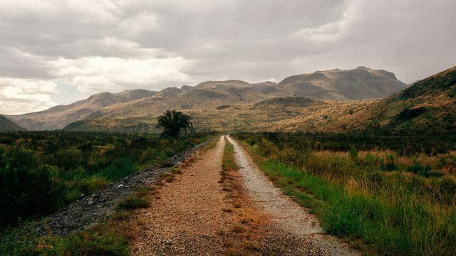 Immersion Into Deuteronomy