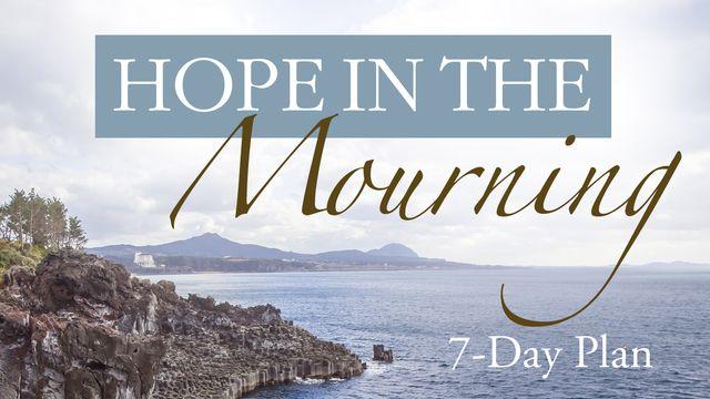 Hope In The Mourning Reading Plan