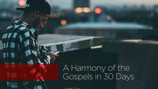 A Harmony Of The Gospels In 30 Days 路加福音 18:31 新标点和合本, 上帝版