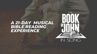 The Book Of John In Song Ин 8 У Сугынь