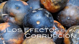 Los Efectos De La Corrupción 1 Timoteo 6:11-12 Traducción en Lenguaje Actual