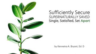 Sufficiently Secure, Supernatually Saved, Single, Satisfied & Set Apart Psalms 20:7 New International Version (Anglicised)