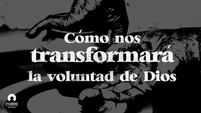 Cómo nos transformará la voluntad de Dios 