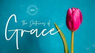 The Doctrines Of Grace Matthäus 16:16 Hoffnung für alle