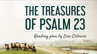 The Treasures of Psalm 23 John 10:25-30 The Message