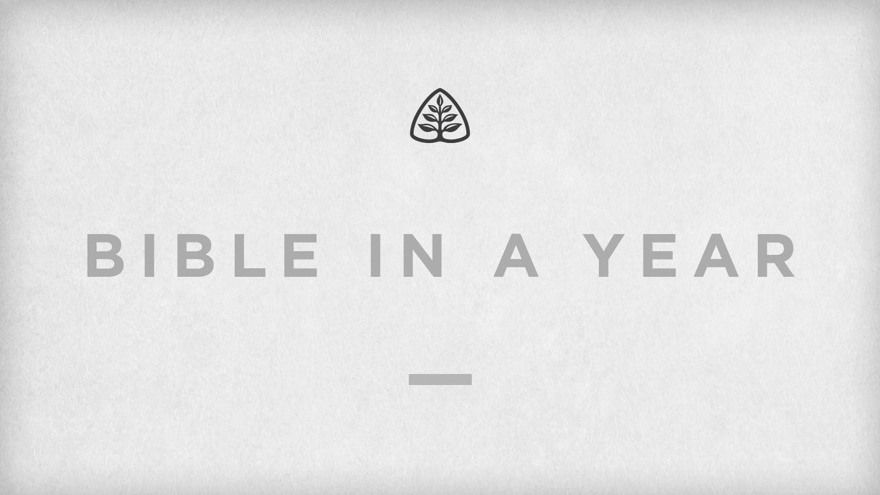 Bible In a Year