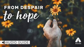 Despair To Hope Romans 5:3-4 New International Version (Anglicised)