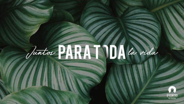Juntos para toda la vida