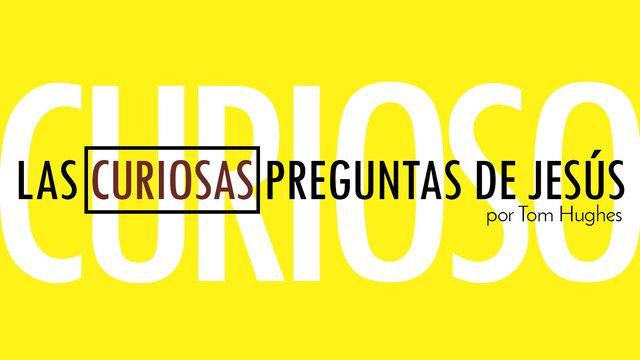 Las curiosas preguntas de Jesús