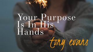 Your Purpose Is In His Hands 1 Corinthians 2:9 Darby's Translation 1890