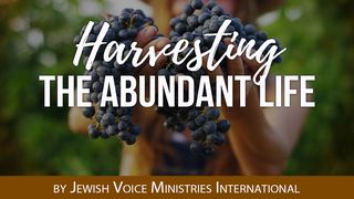 Harvesting The Abundant Life Galatians 6:8 English Standard Version 2016