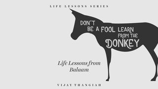 Don’t Be A Fool, Learn From The Donkey - Life Lessons From Balaam Numbers 22:22-35 English Standard Version 2016