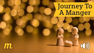 Journey To A Manger Psalms 104:24-30 The Message