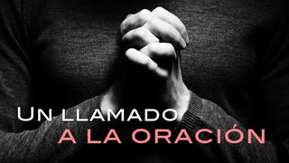Un Llamado A La Oración Mateo 21:13 Nueva Versión Internacional - Español