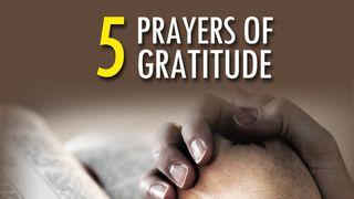 5 Prayers Of Gratitude John 16:7-8 Amplified Bible