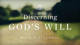 Discerning God's Will Exodus 4:21 King James Version