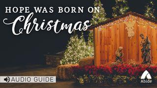 Hope Was Born On Christmas 1 John 4:9 Contemporary English Version Interconfessional Edition
