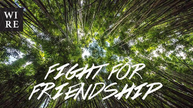 Your Mission // Fight for Friendship