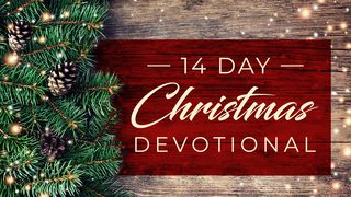 14 Days Christmas Devotional 以赛亚书 12:4 新标点和合本, 上帝版