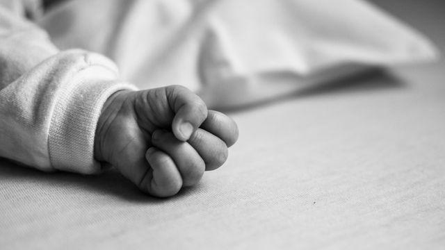 The Word Became Flesh