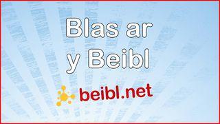 Blas ar y Beibl 2 Ioan 8:31-32 Beibl Cymraeg Newydd Diwygiedig 2004