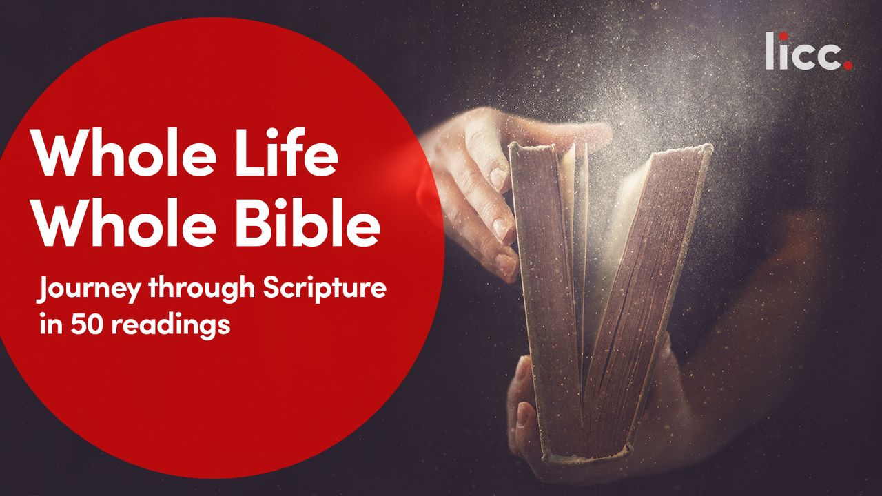 Whole Life, Whole Bible: Journey through Scripture