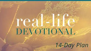Real-Life Devotions by Lysa TerKeurst Psalms 10:14 The Message