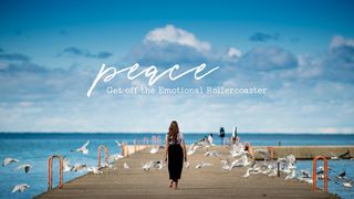 Peace - Get off the Emotional Rollercoaster 1 Samuel 30:4 New Living Translation