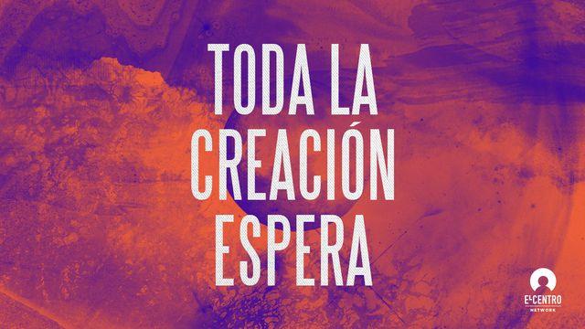 Toda la creación espera